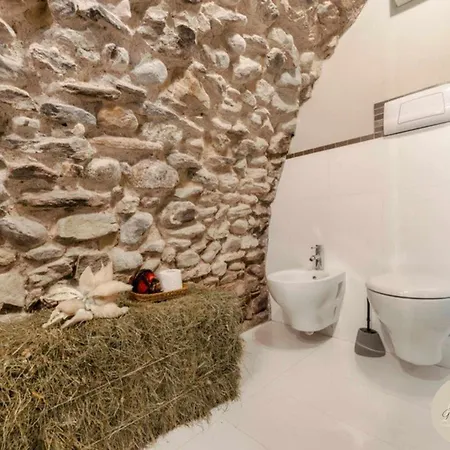 Love Barn Experience